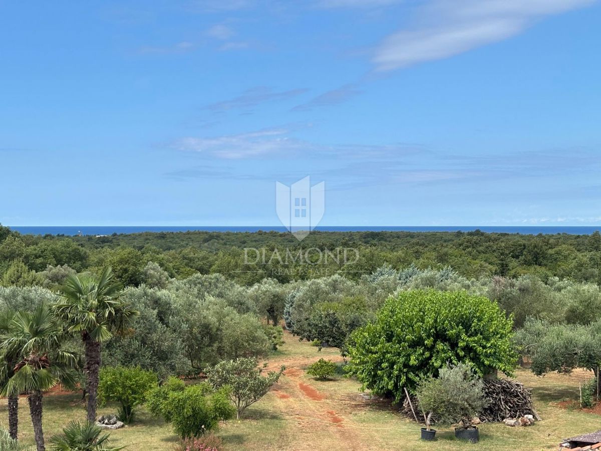 Casa in pietra d'Istria in una posizione tranquilla vicino a Umago