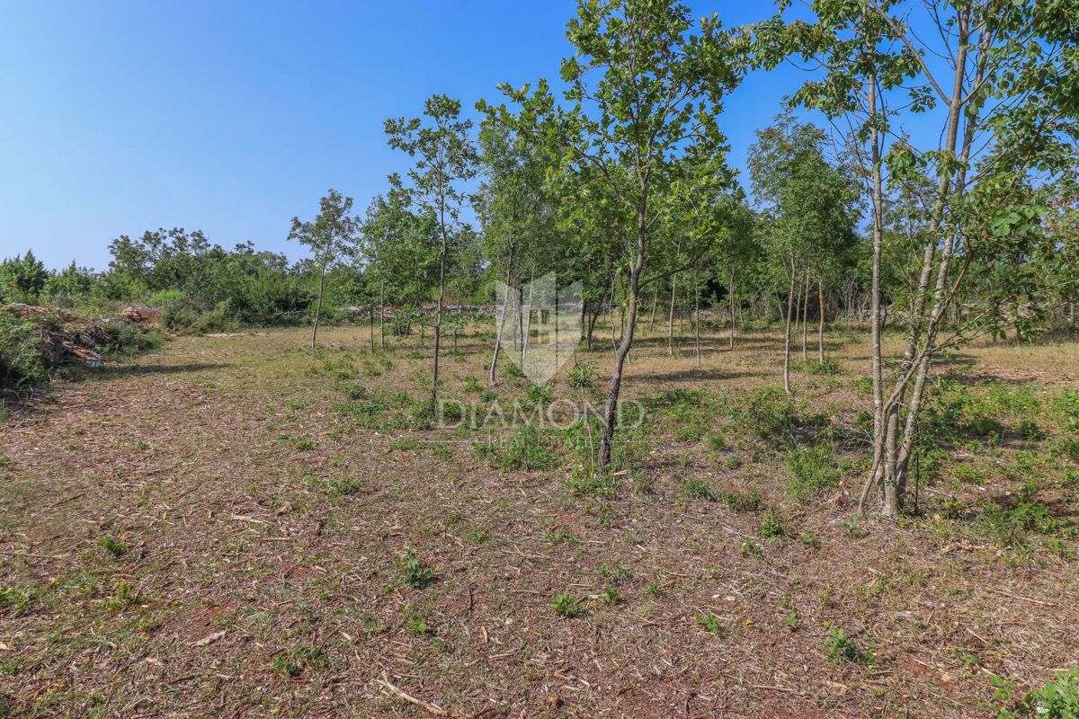 Svetvinčenat, dintorni, terreno ideale per una nuova casa 