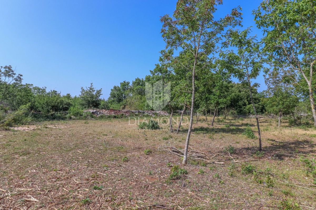 Svetvinčenat, dintorni, terreno ideale per una nuova casa 