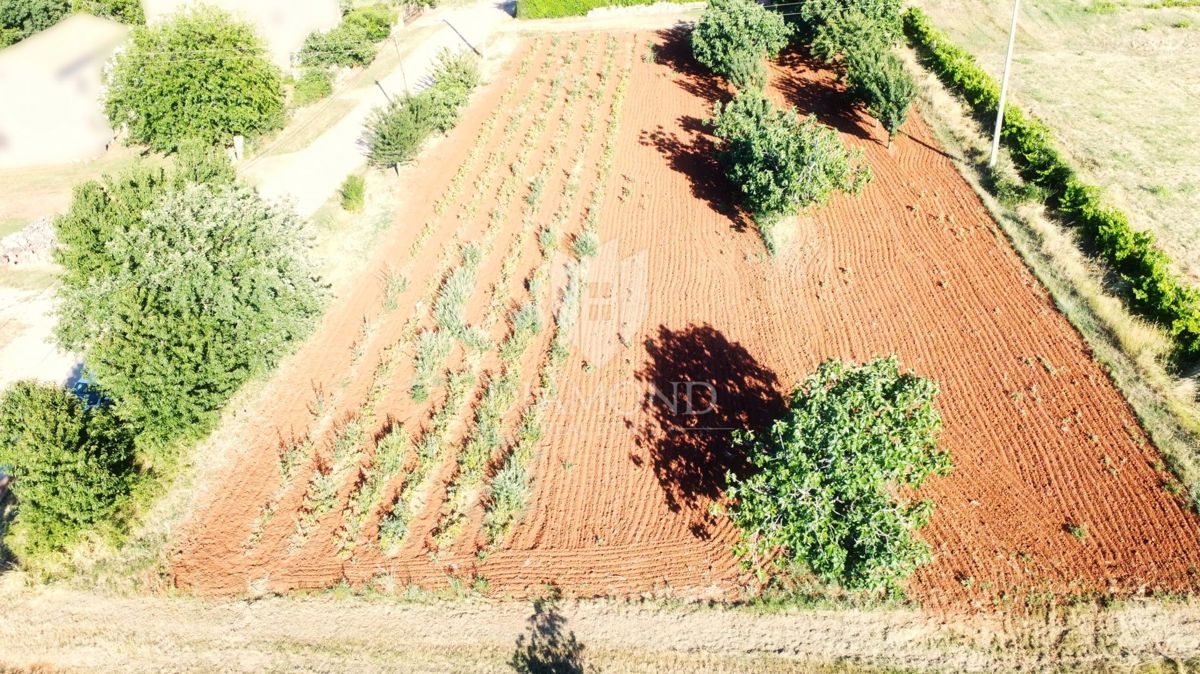 Poreč dintorni – Terreno con vista mare