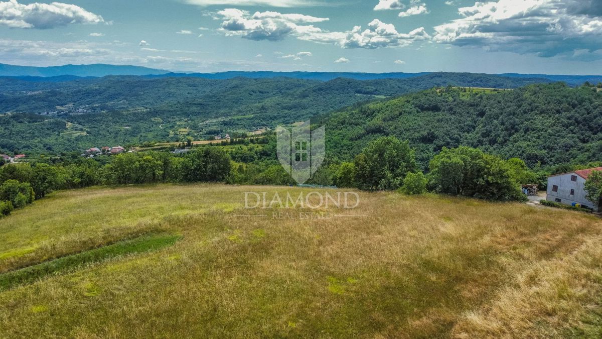 Istria centrale, terreno 3.874 m² con licenza edilizia!