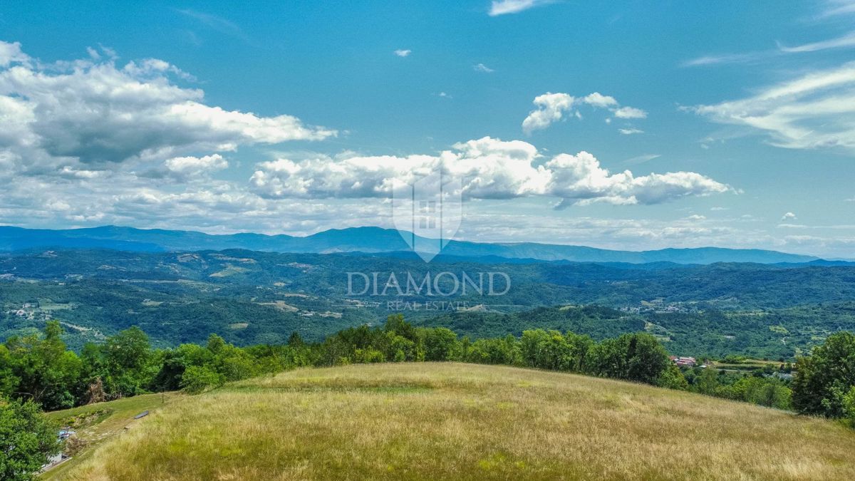 Istria centrale, terreno 3.874 m² con licenza edilizia!