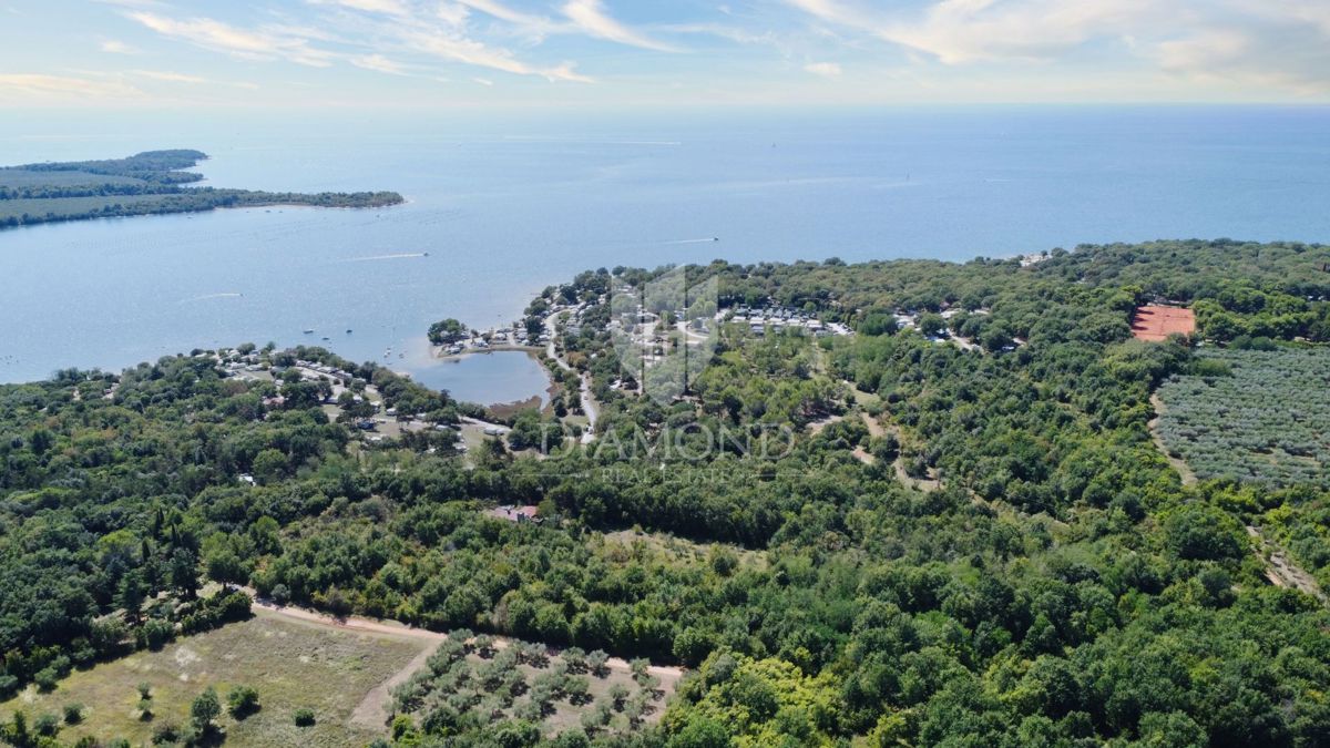 Parenzo, dintorni, Terreno sul mare, zona turistica  (T2, T3)