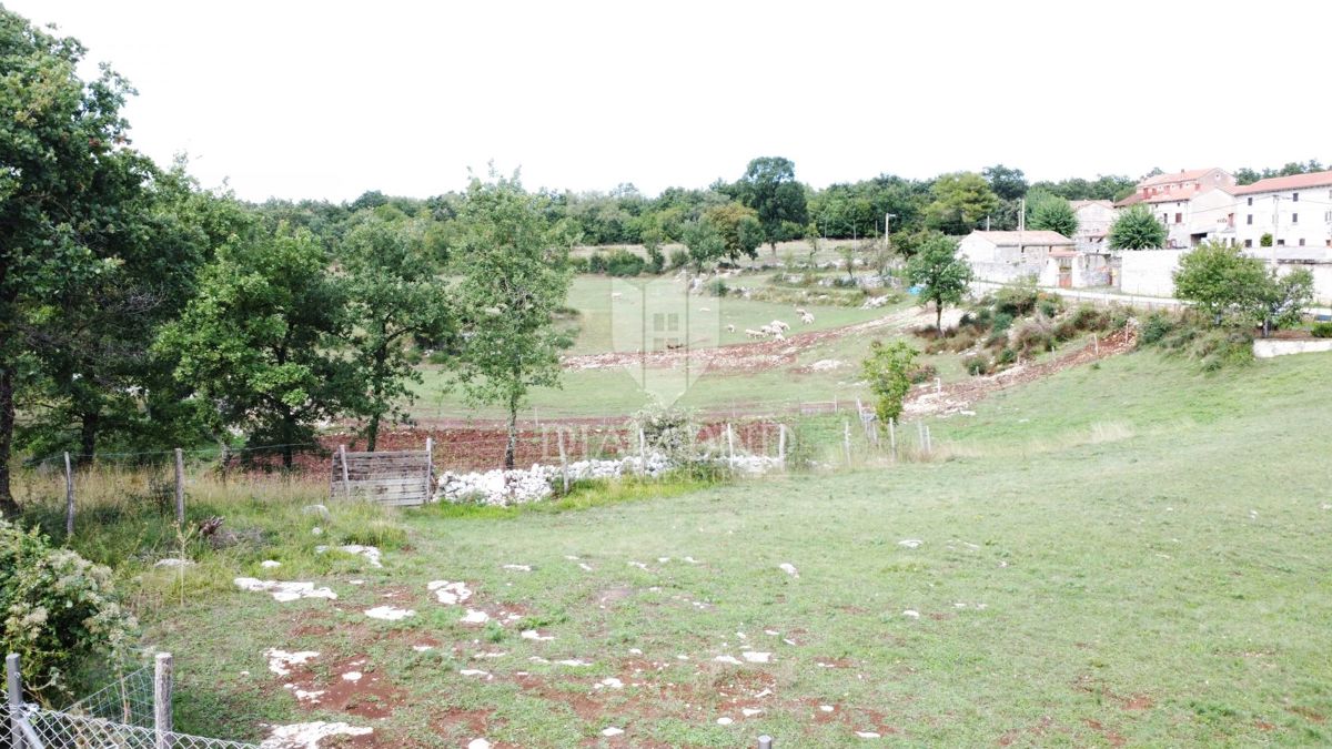 Sv. Lovreč – terreno 943 m² per costruzione villa con piscina