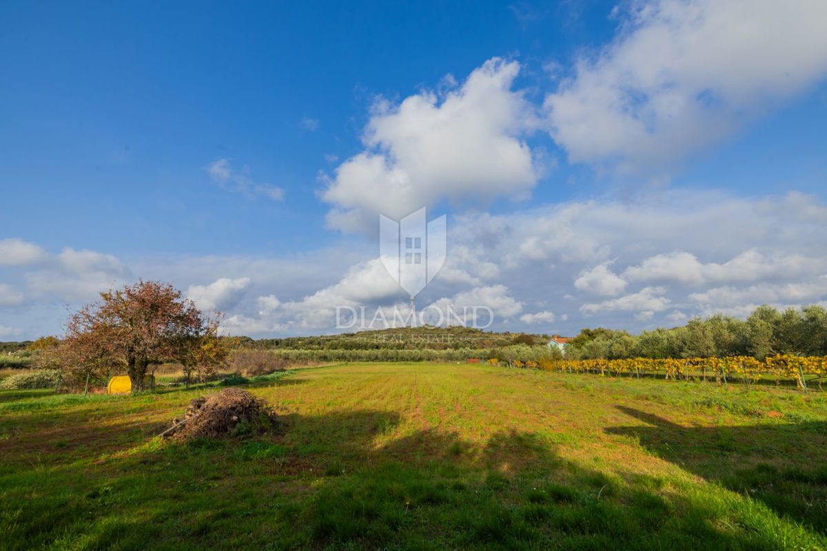 DIAMANTE a Rovigno, casa pianoterra con un enorme giardino vicino al mare
