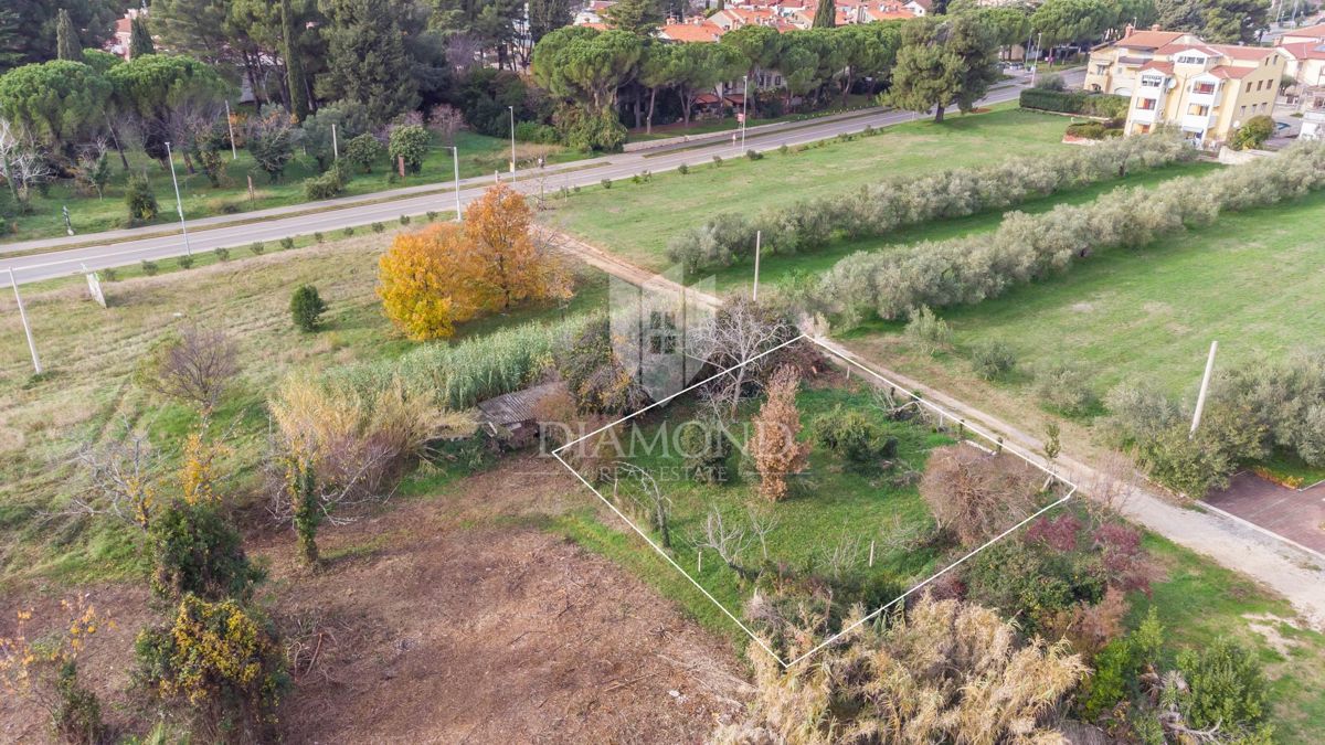 In Esclusiva! Cittanova, terreno in posizione eccezionale!