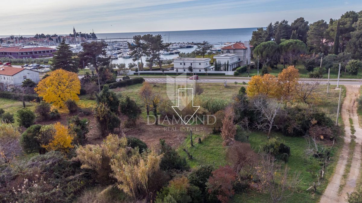 In Esclusiva! Cittanova, terreno in posizione eccezionale!