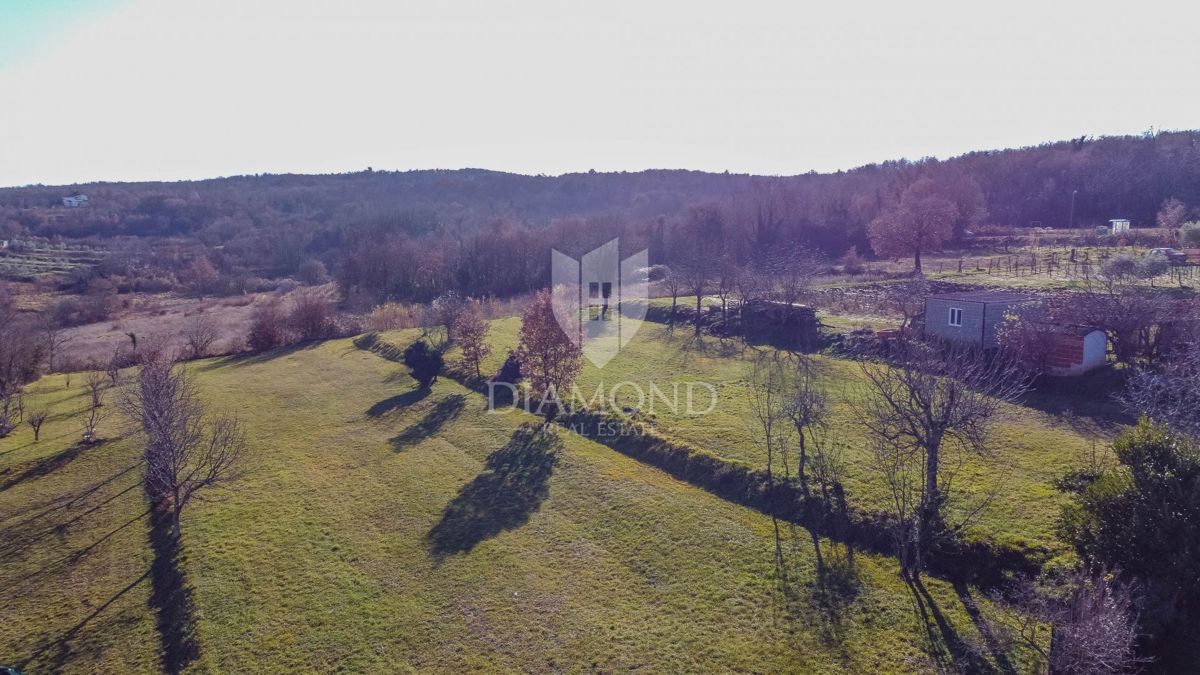 Montona, dintorni, terreno edificabile per la vostra casa!