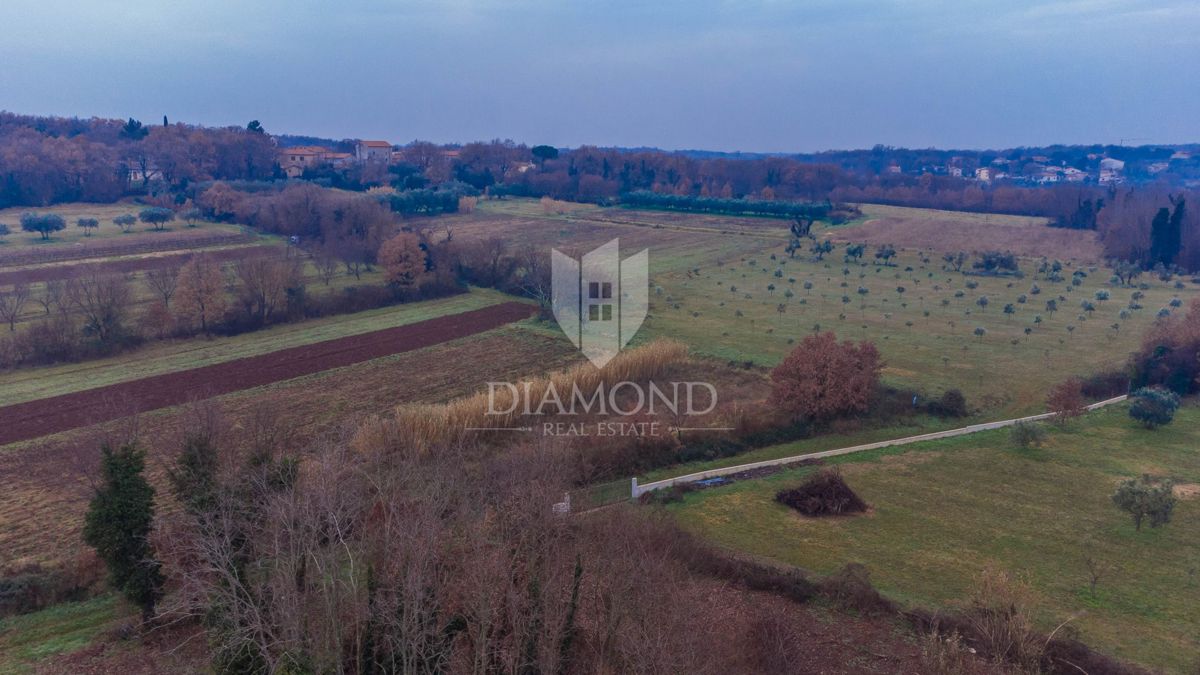 Umago, dintorni, bellissimo terreno edificabile!