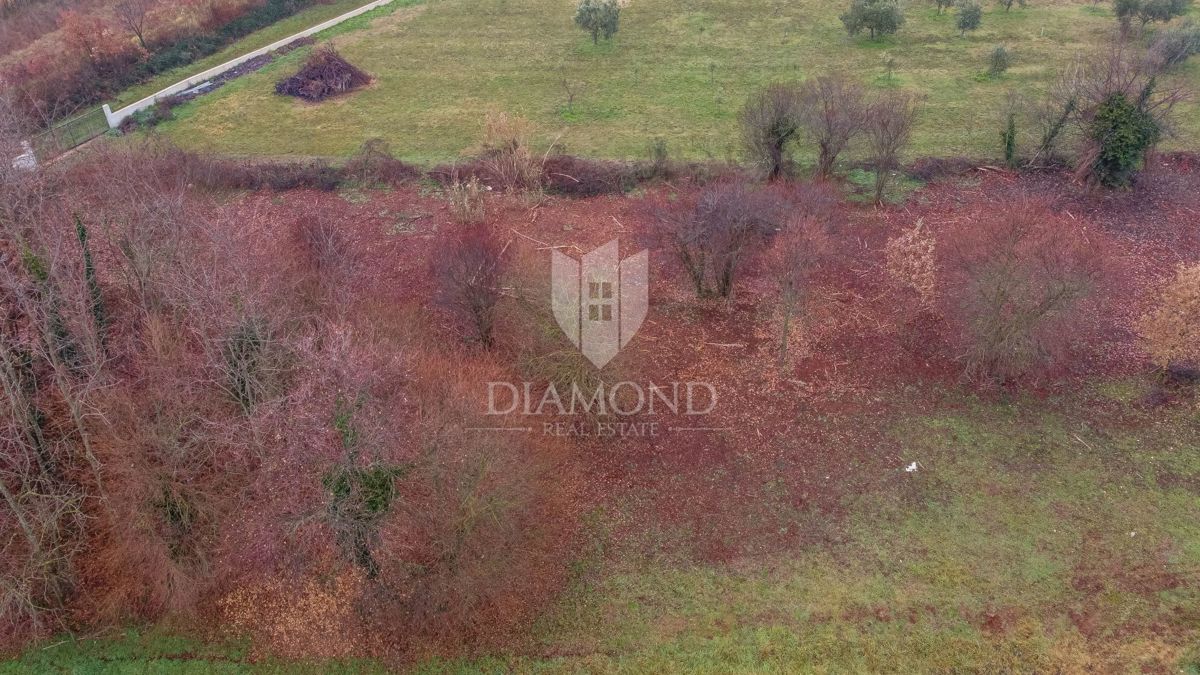 Umago, dintorni, bellissimo terreno edificabile!