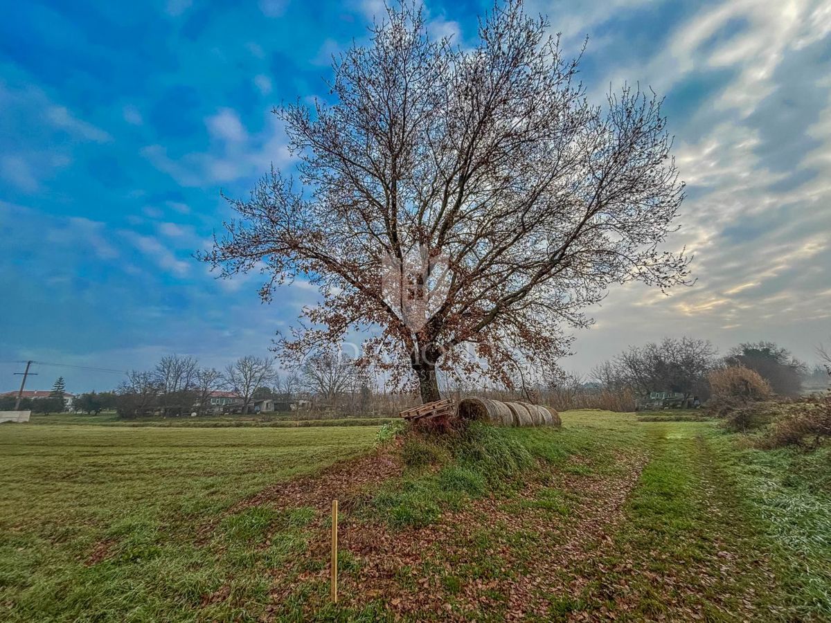 Umago, dintorni, bellissimo terreno edificabile!
