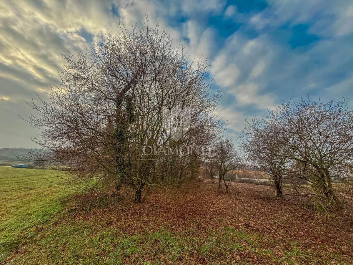 Umago, dintorni, bellissimo terreno edificabile!