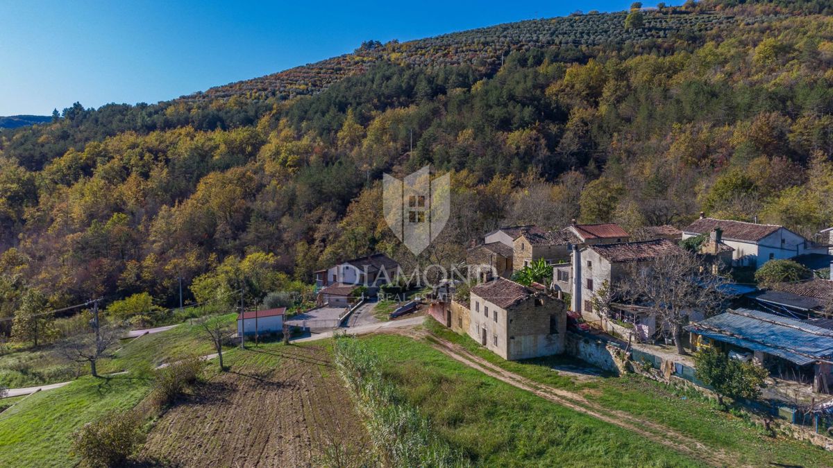Montona, dintorni - casa in pietra con tante possibilità!