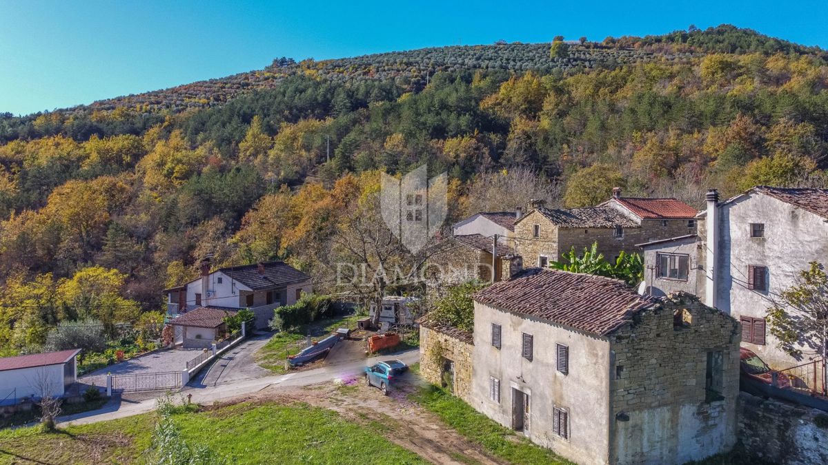Montona, dintorni - casa in pietra con tante possibilità!