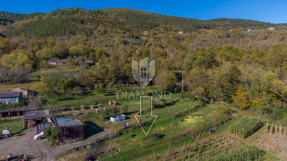 Montona, dintorni - casa in pietra con tante possibilità!