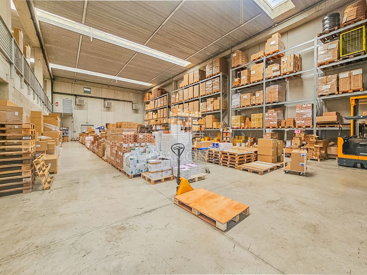 Novigrad, il centro affari dedicato agli investimenti!