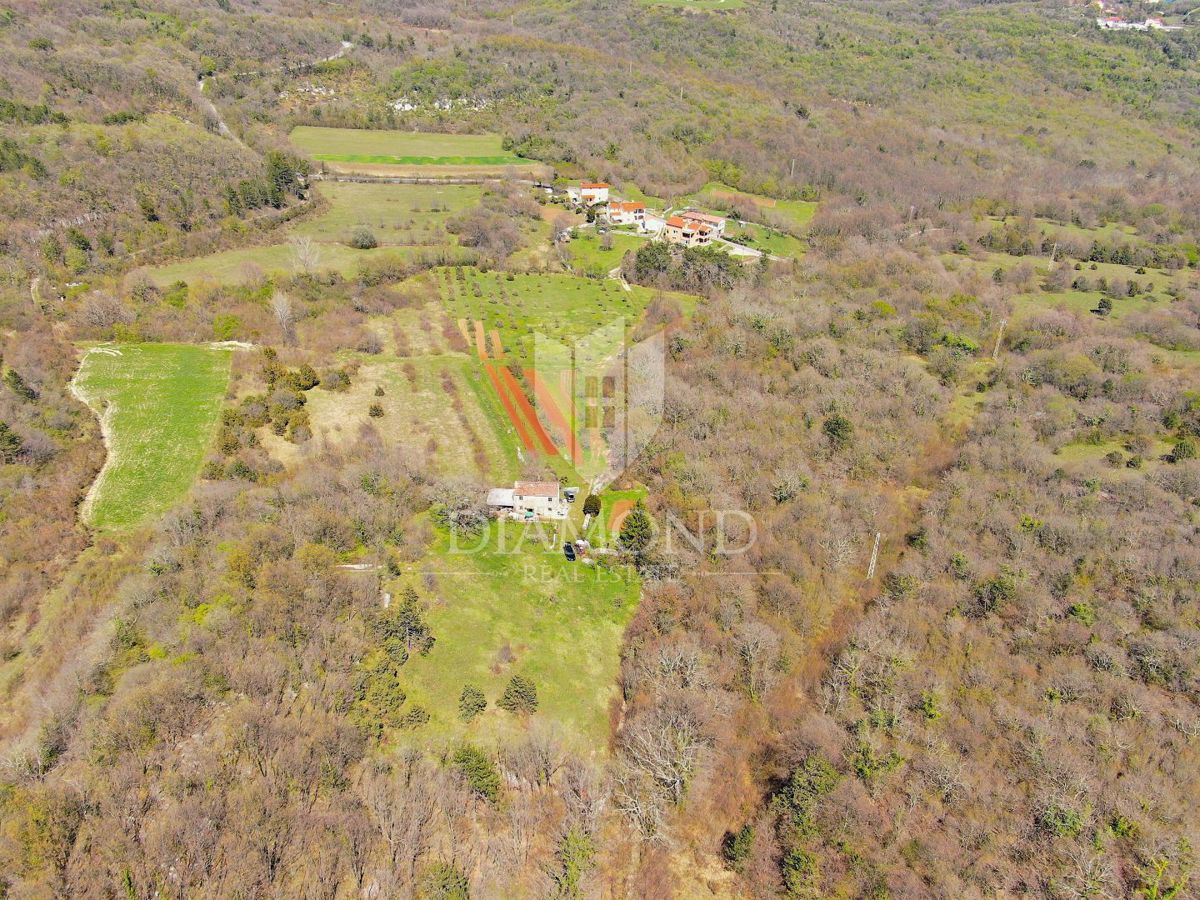 Labin, dintorni, casa istriana in una grande tenuta
