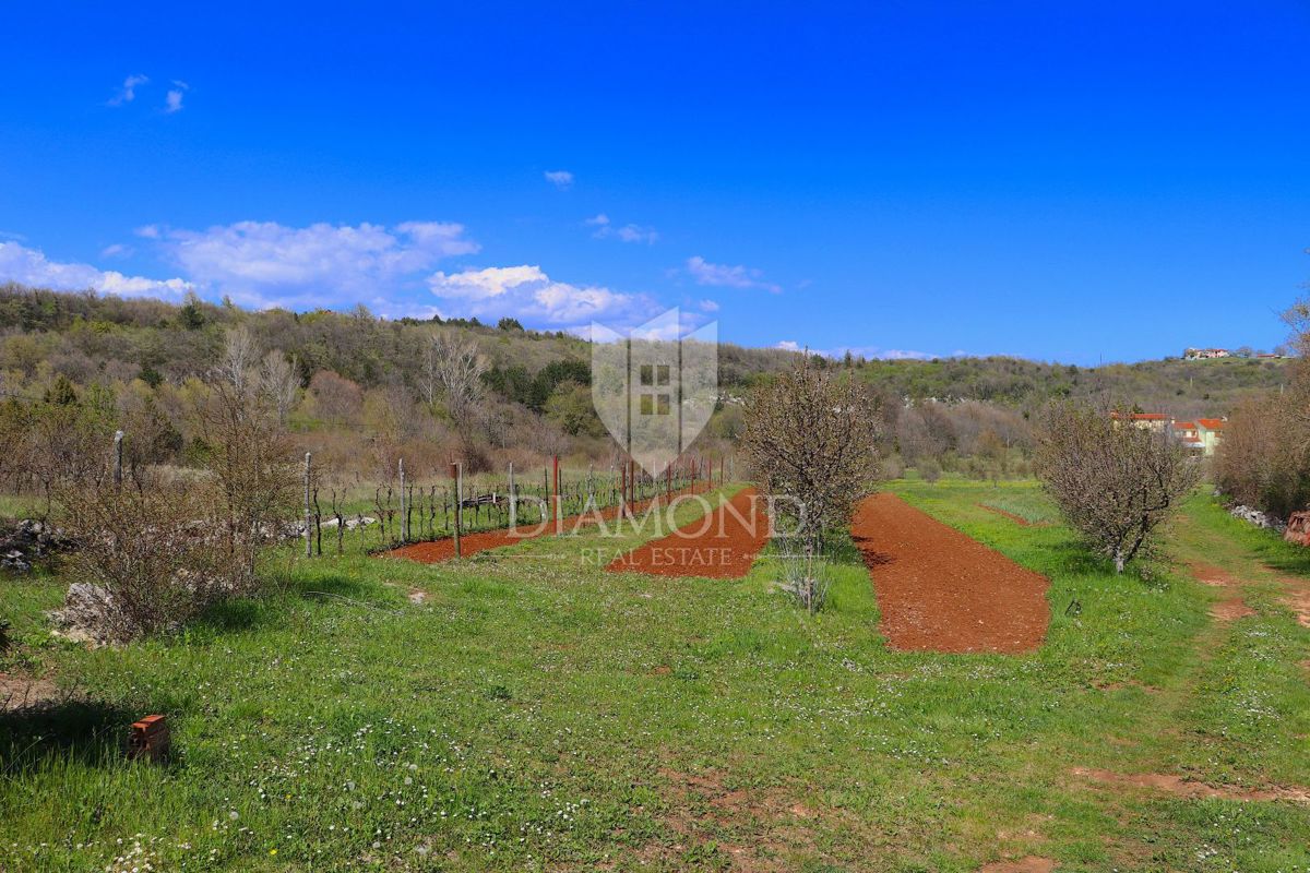 Labin, dintorni, casa istriana in una grande tenuta