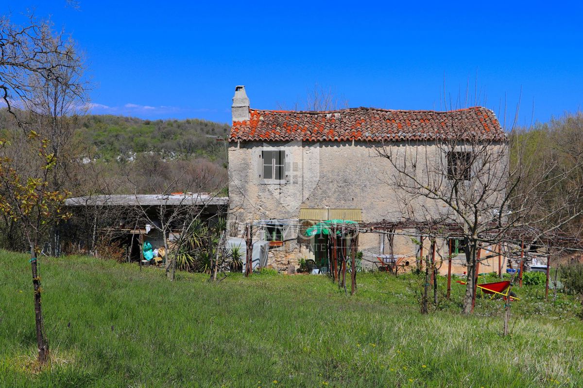Labin, dintorni, casa istriana in una grande tenuta