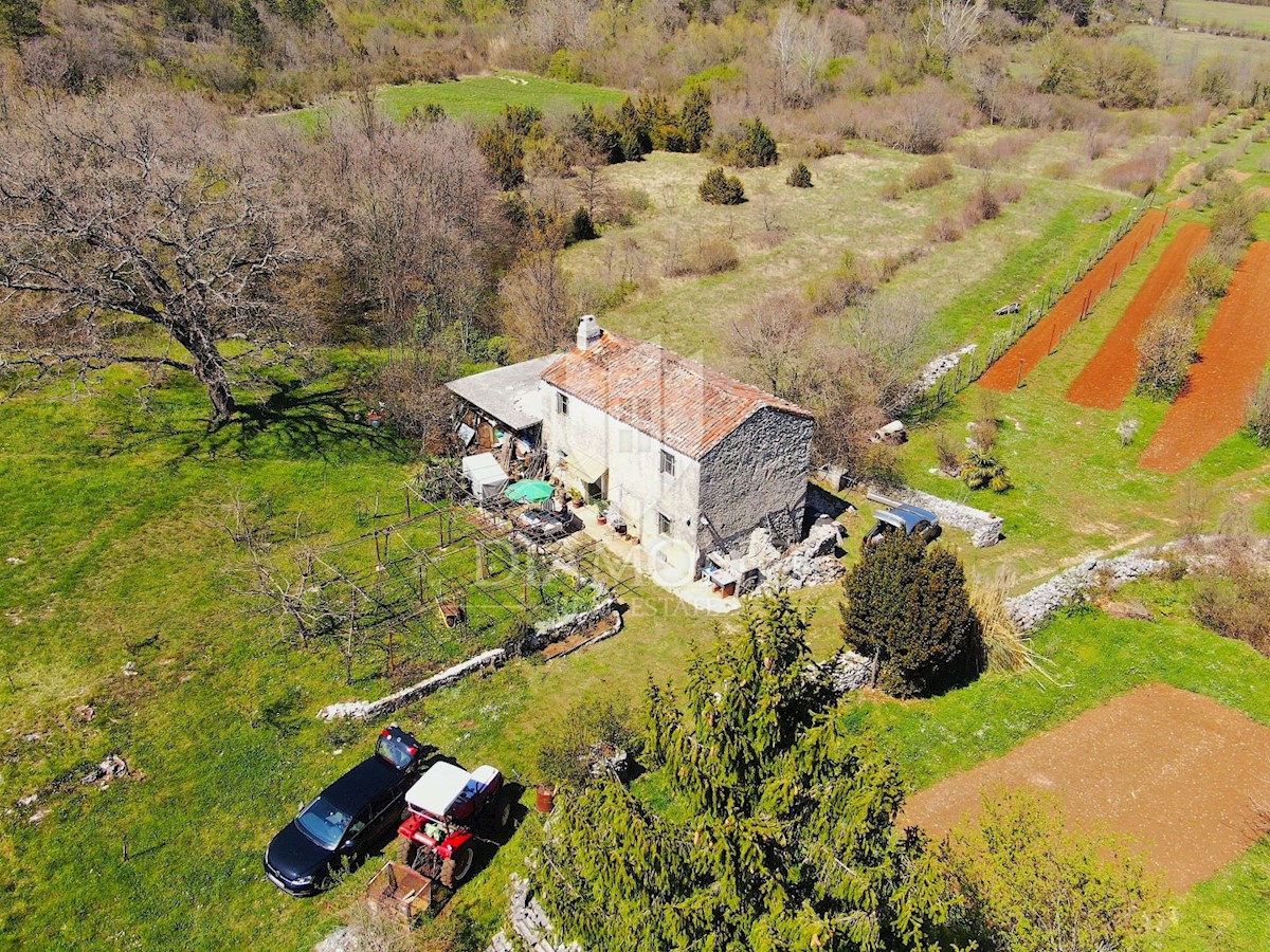 Labin, dintorni, casa istriana in una grande tenuta