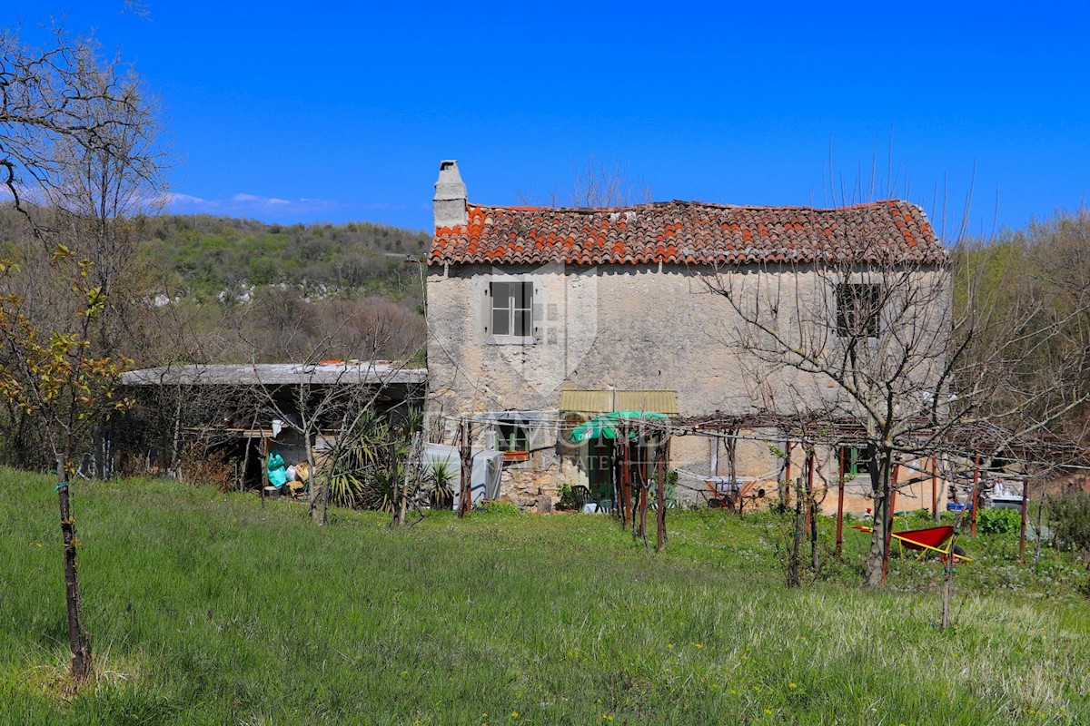 Labin, dintorni, casa istriana in una grande tenuta