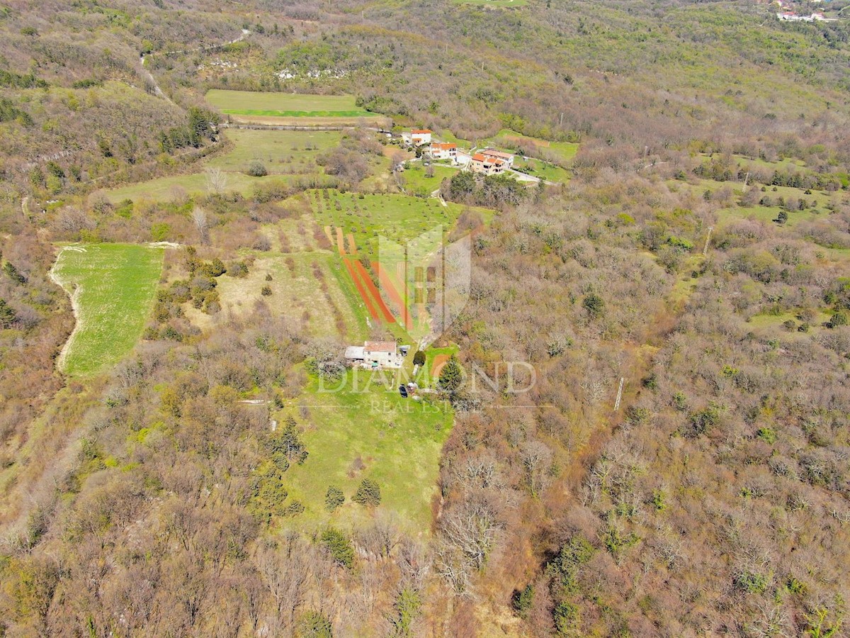 Labin, dintorni, casa istriana in una grande tenuta