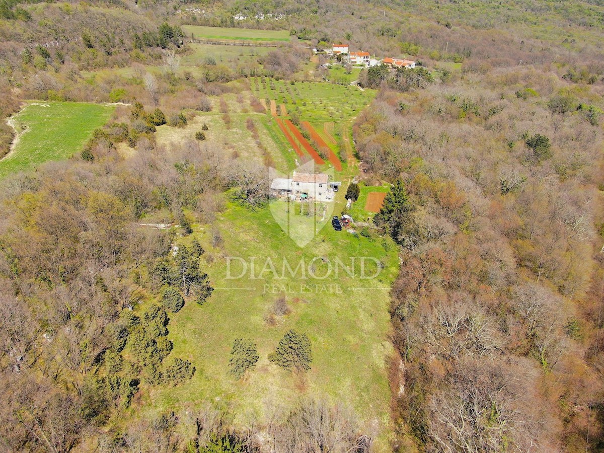 Labin, dintorni, casa istriana in una grande tenuta