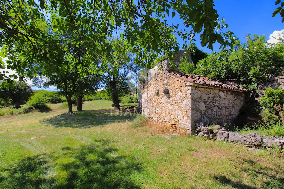 Albona, dintorni, bella proprietà con tre edifici da ristrutturare