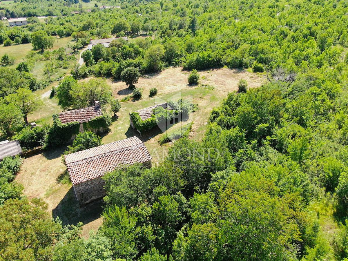 Albona, dintorni, bella proprietà con tre edifici da ristrutturare