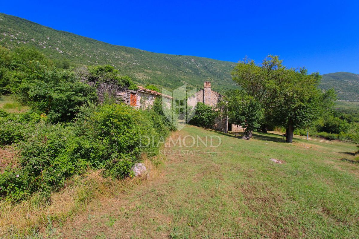 Albona, dintorni, bella proprietà con tre edifici da ristrutturare