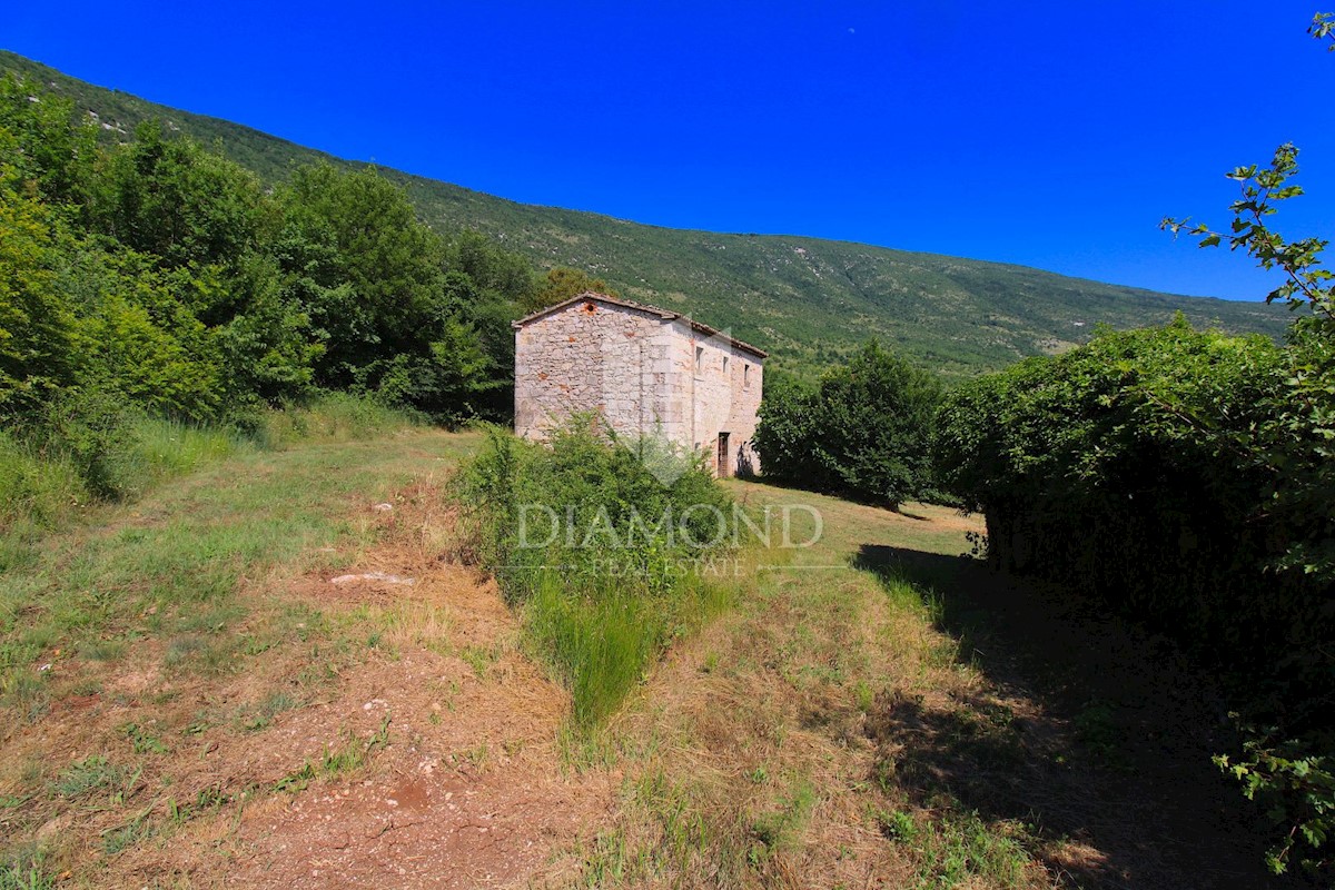 Albona, dintorni, bella proprietà con tre edifici da ristrutturare