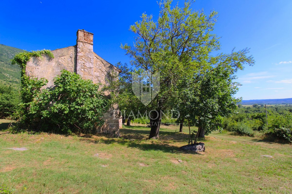 Albona, dintorni, bella proprietà con tre edifici da ristrutturare