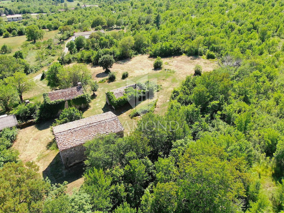 Albona, dintorni, bella proprietà con tre edifici da ristrutturare