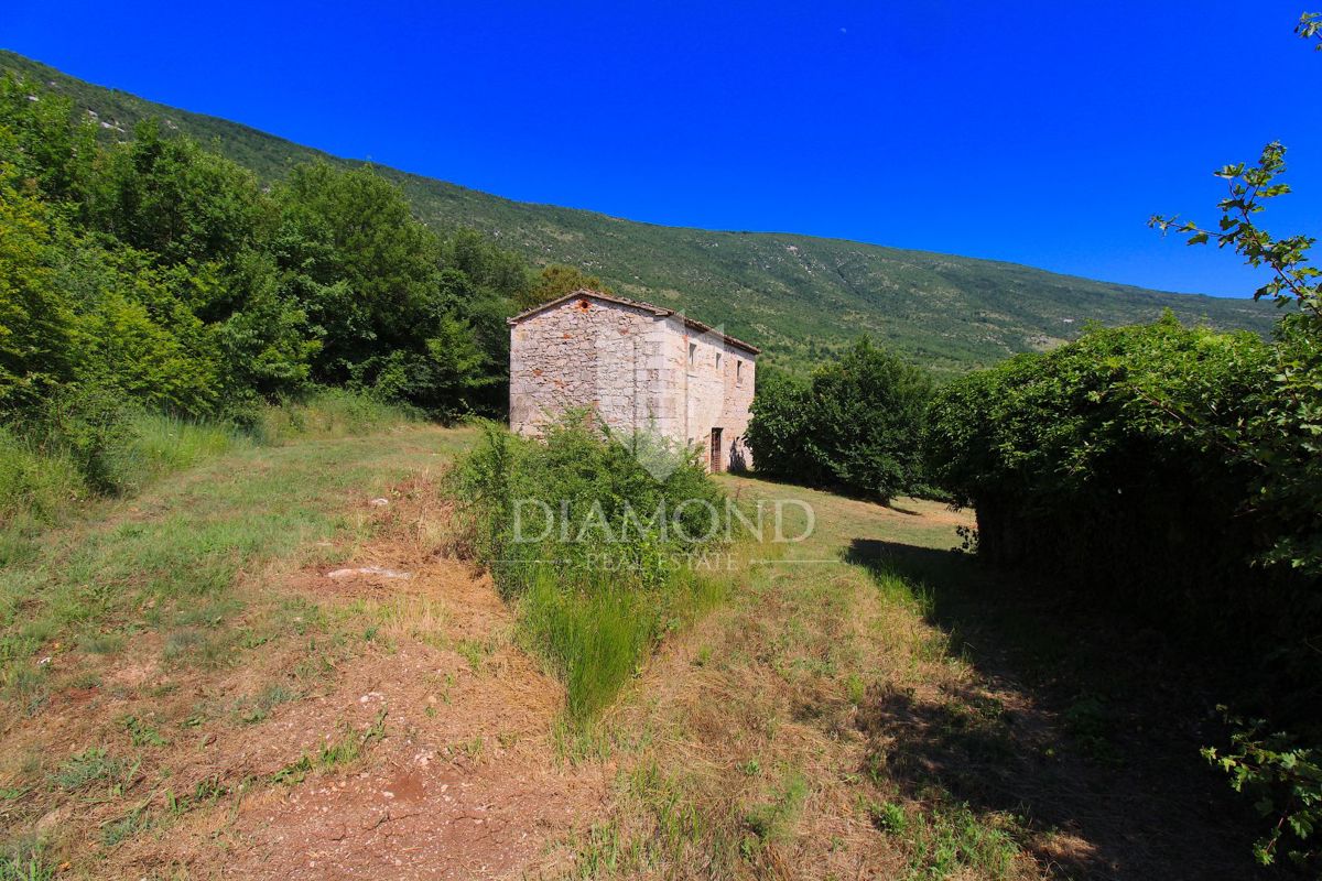 Albona, dintorni, bella proprietà con tre edifici da ristrutturare