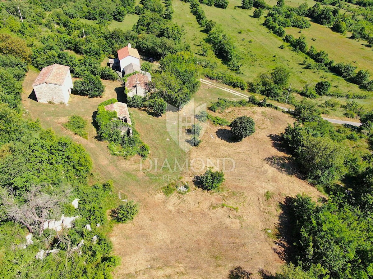 Albona, dintorni, bella proprietà con tre edifici da ristrutturare