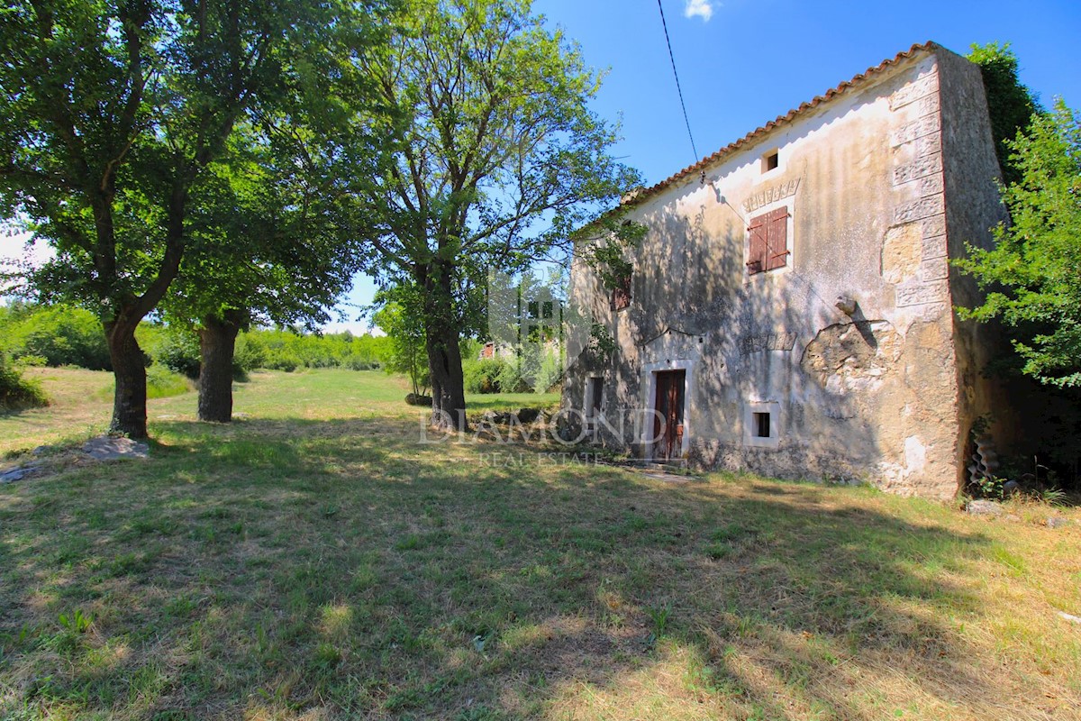 Albona, dintorni, bella proprietà con tre edifici da ristrutturare