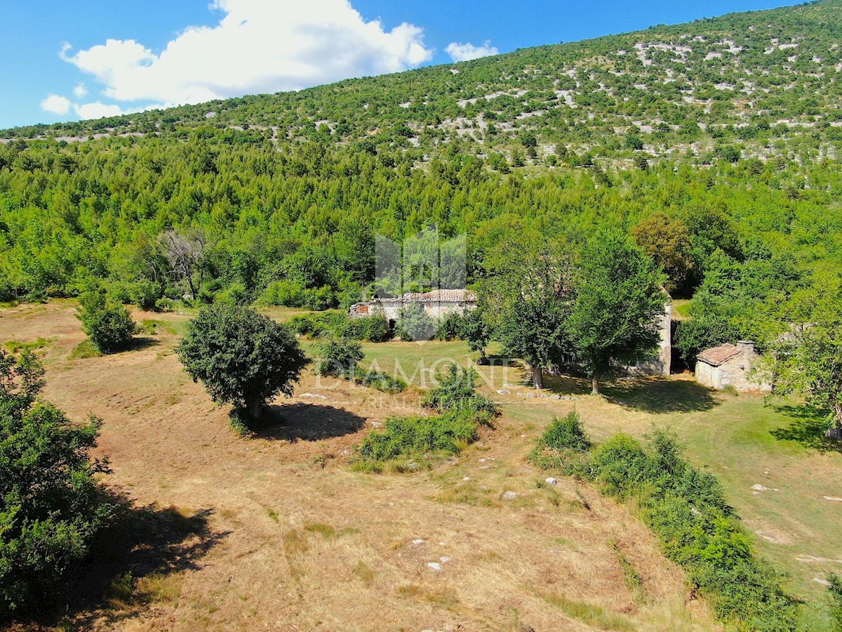 Albona, dintorni, bella proprietà con tre edifici da ristrutturare