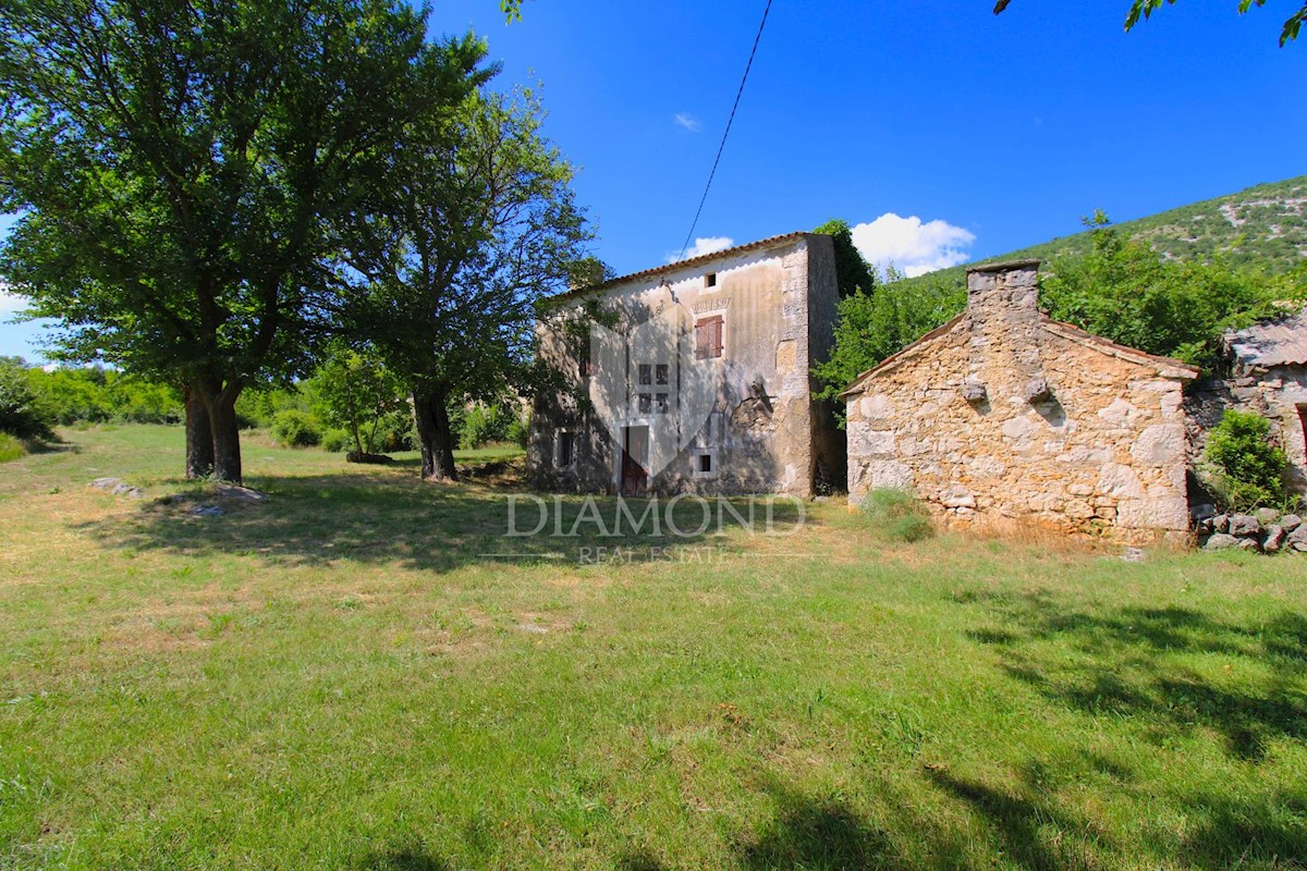 Albona, dintorni, bella proprietà con tre edifici da ristrutturare