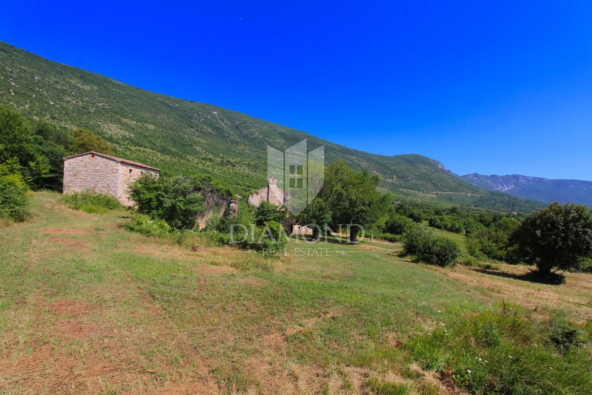 Albona, dintorni, bella proprietà con tre edifici da ristrutturare