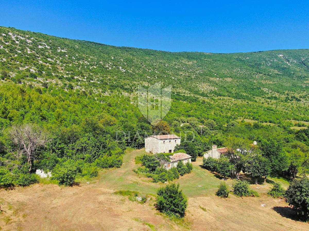 Albona, dintorni, bella proprietà con tre edifici da ristrutturare