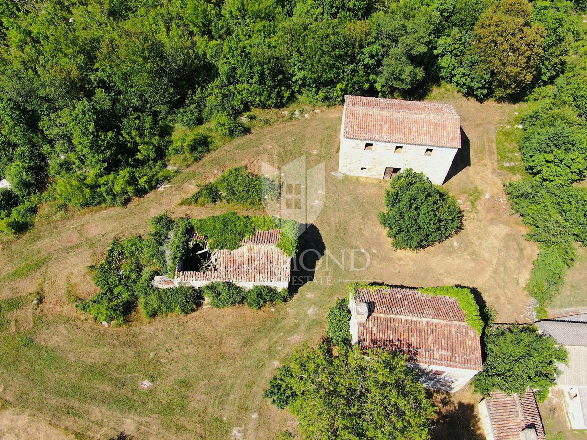 Albona, dintorni, bella proprietà con tre edifici da ristrutturare