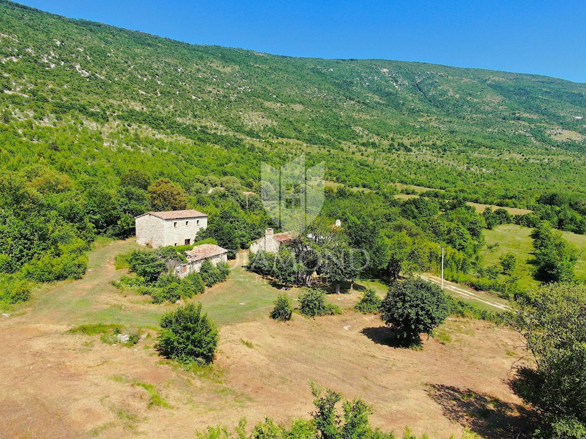 Albona, dintorni, bella proprietà con tre edifici da ristrutturare