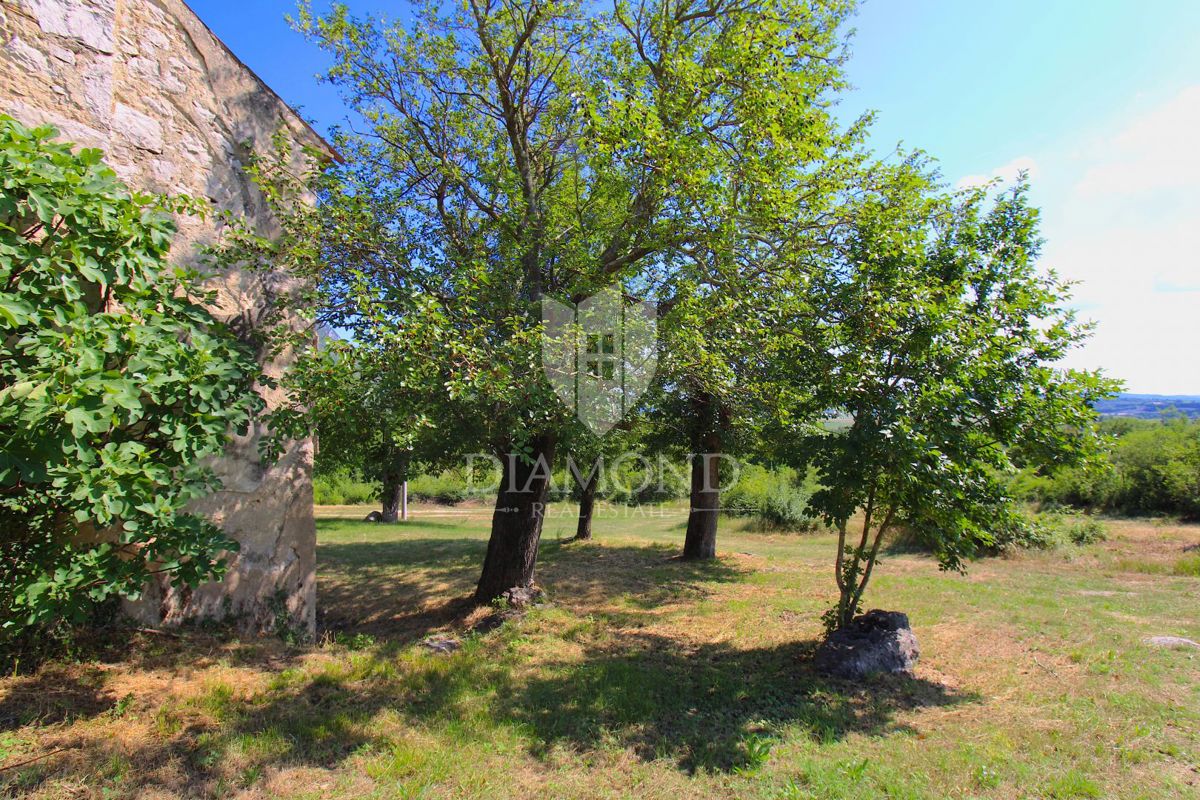 Albona, dintorni, bella proprietà con tre edifici da ristrutturare