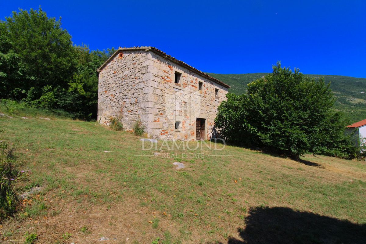Albona, dintorni, bella proprietà con tre edifici da ristrutturare