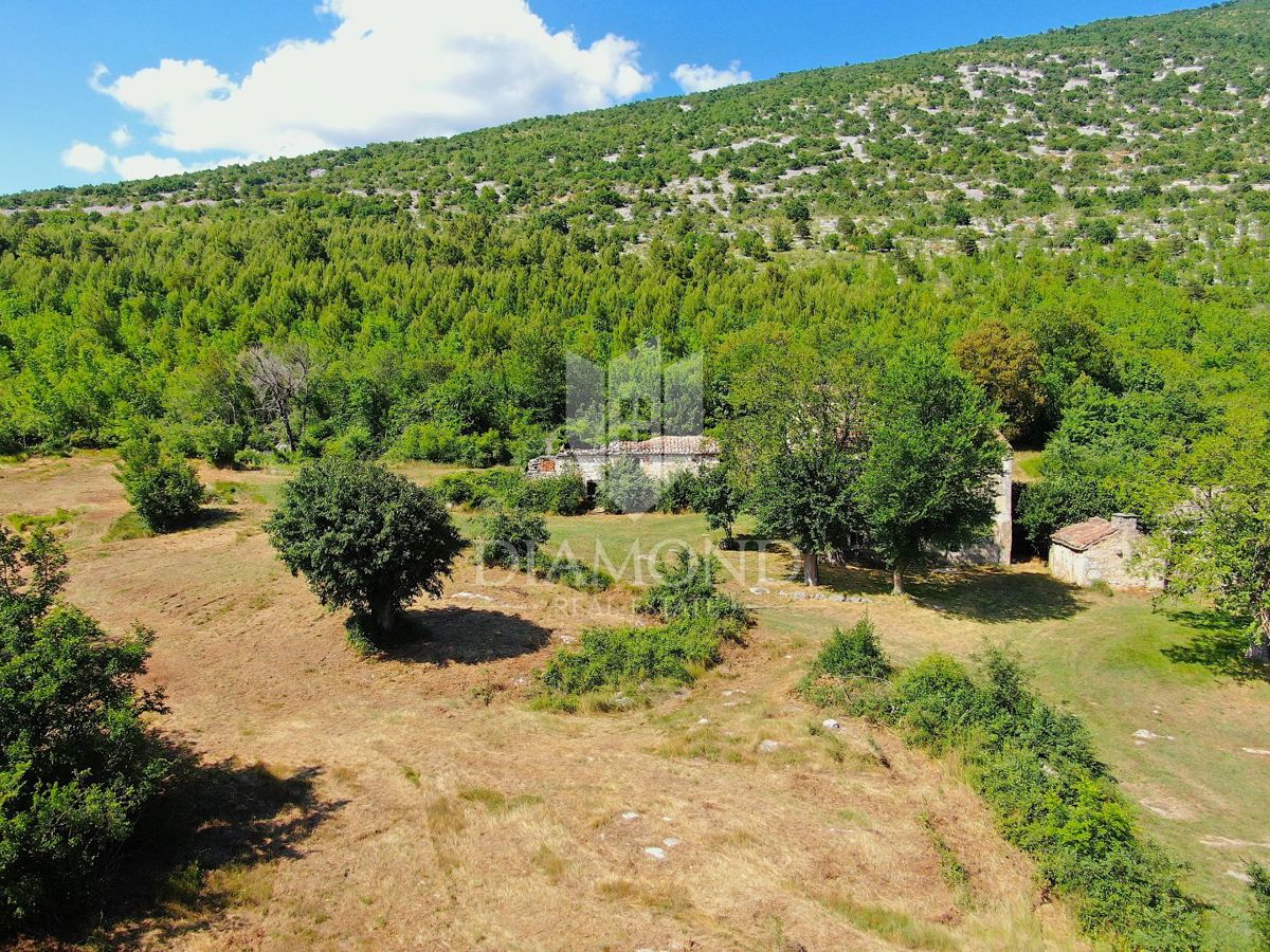 Albona, dintorni, bella proprietà con tre edifici da ristrutturare