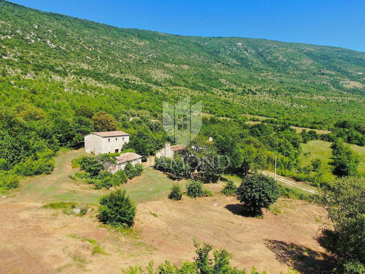 Albona, dintorni, bella proprietà con tre edifici da ristrutturare