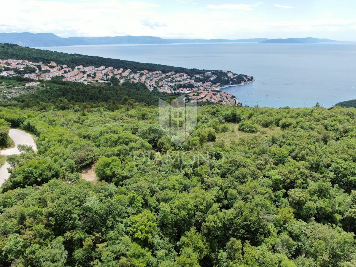 Rabac, complesso di terreni agricoli in ottima posizione