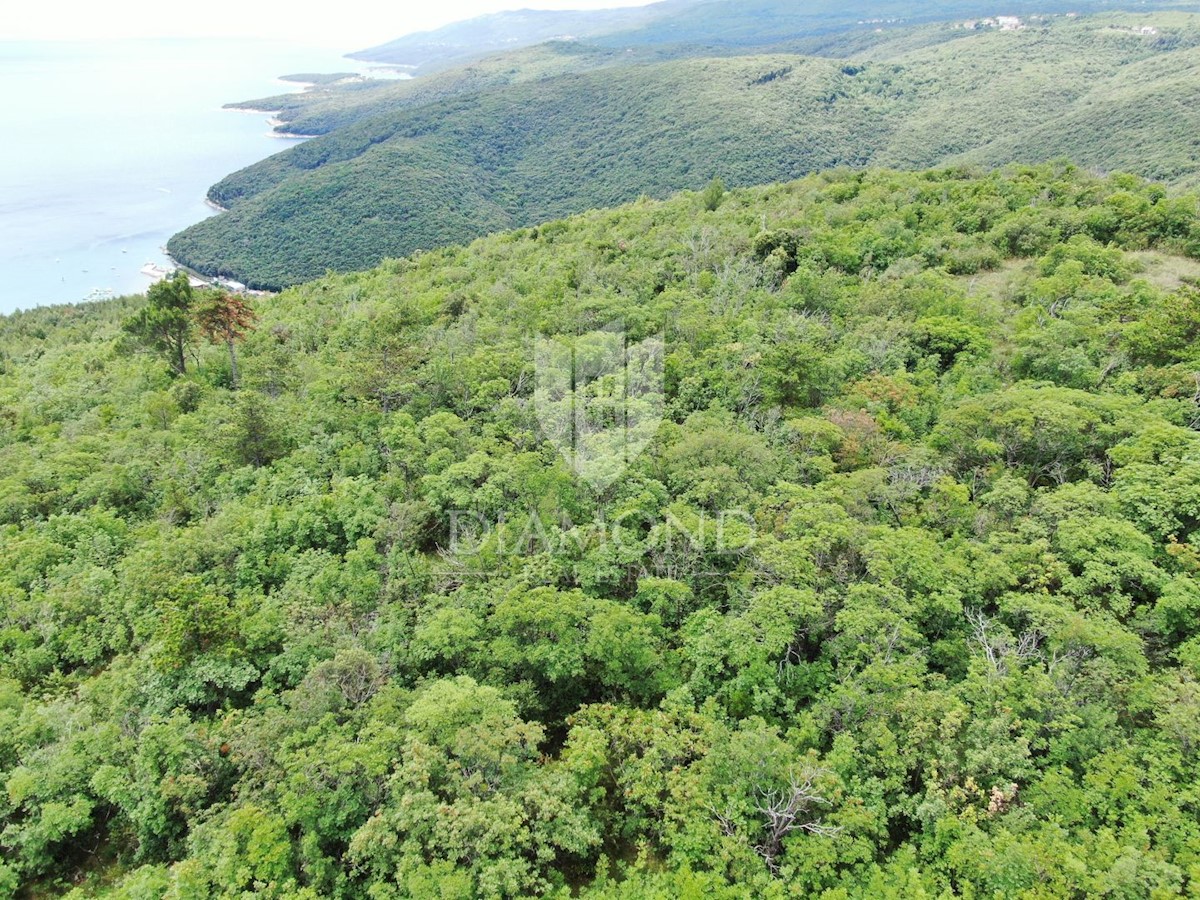 Rabac, complesso di terreni agricoli in ottima posizione