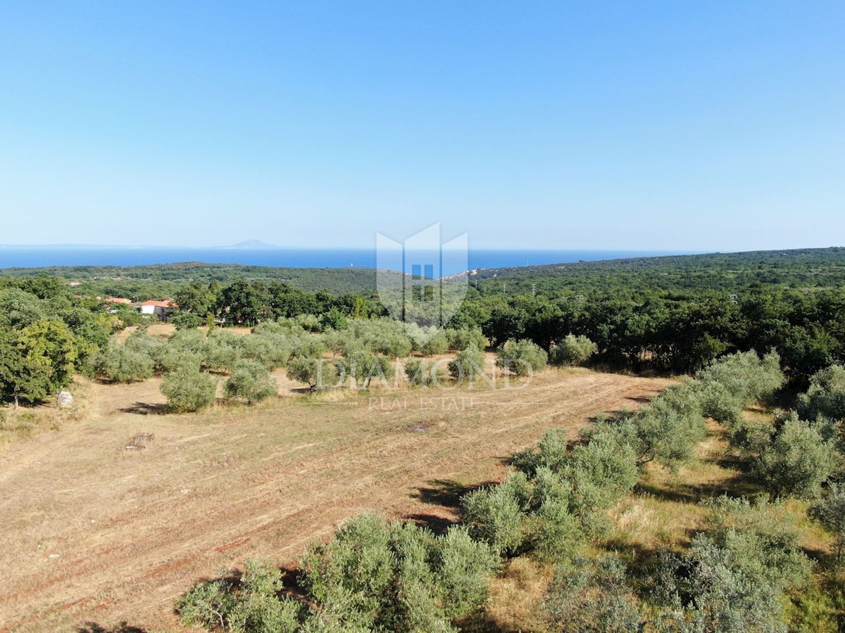 Marčana, dintorni, due case in pietra con piscina