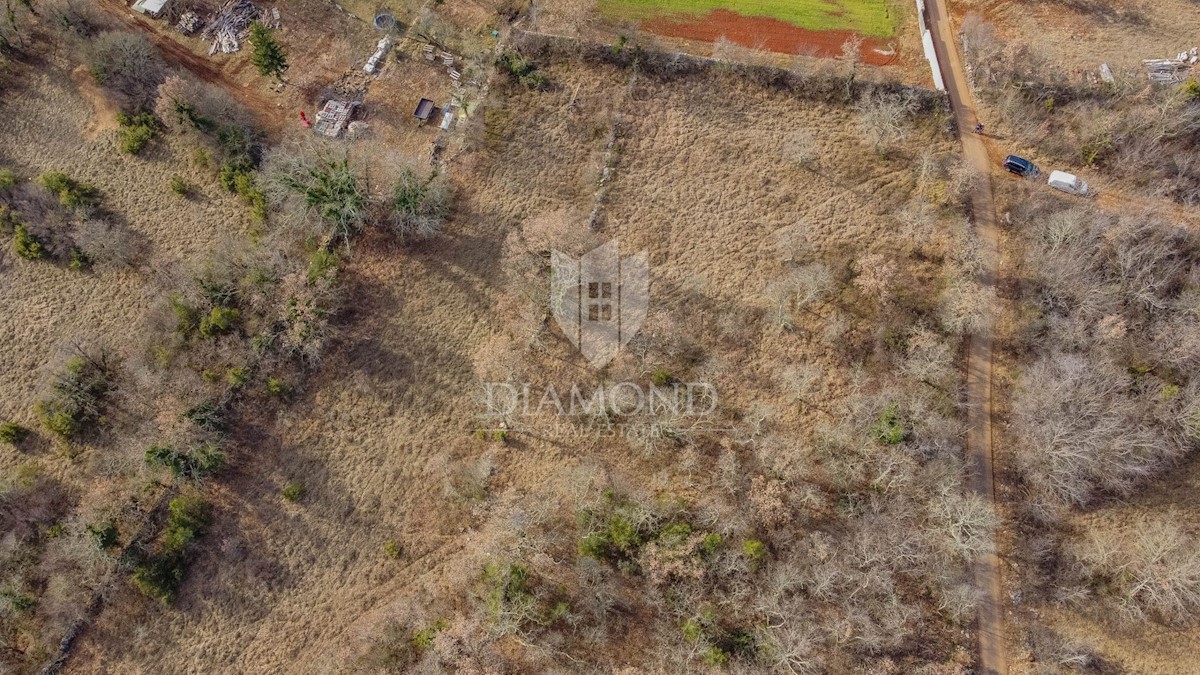 Dintorni di Grisignana, ampio terreno edificabile in una posizione tranquilla